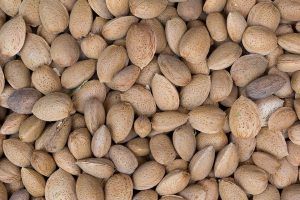 almonds in mallorca
