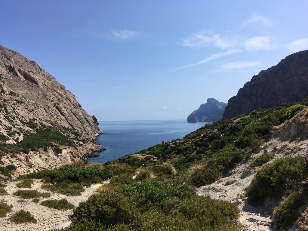 View over Cala Boquer