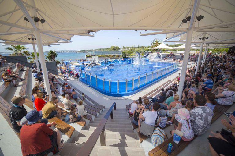 Dolphin Show Arena in Marineland Mallorca