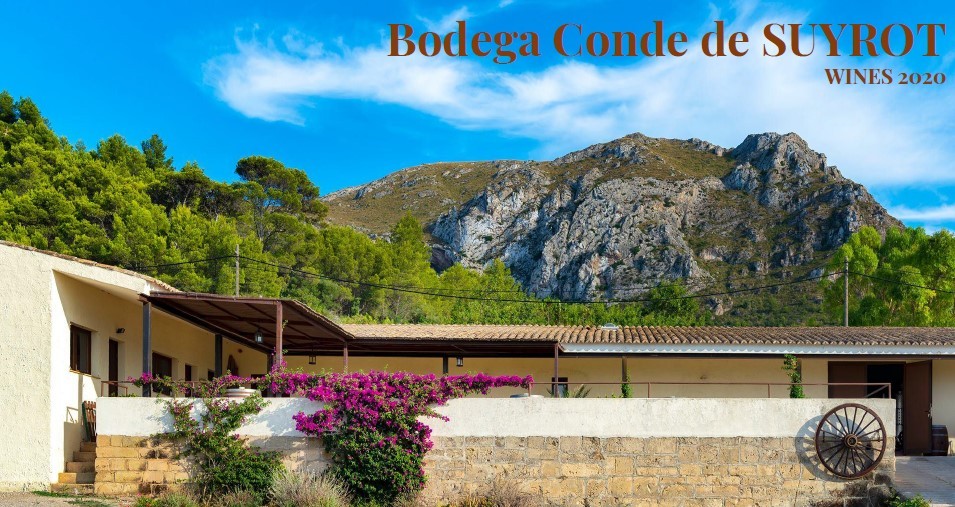 bodegas conde suyrot