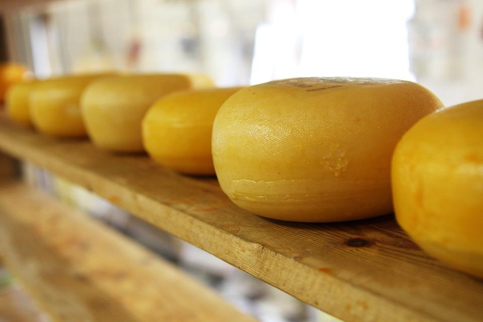 cheese of Mallorca