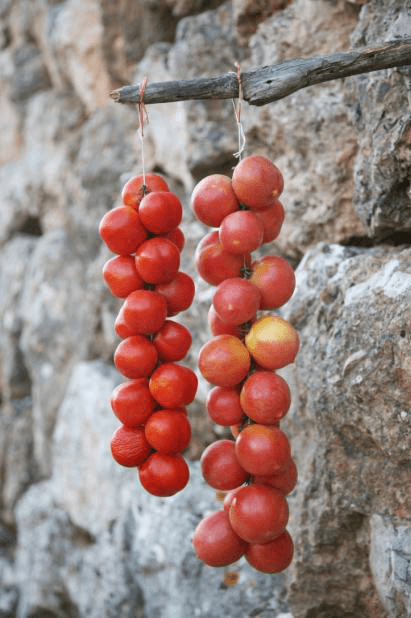 tomatoes mallorca