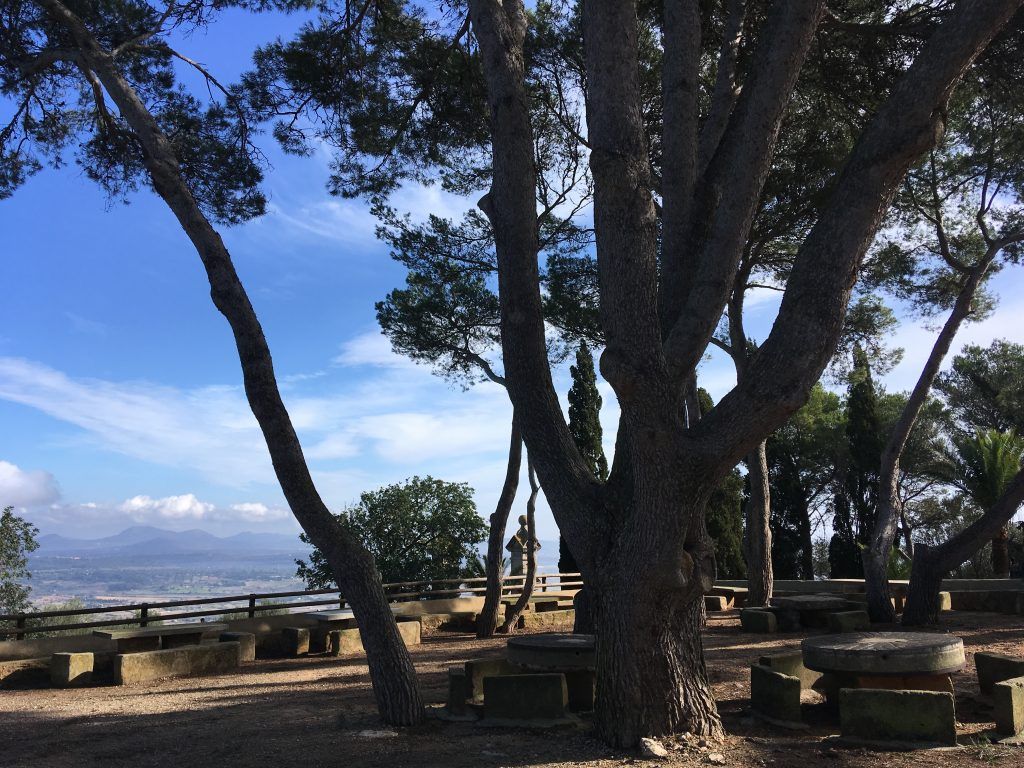 Picnic area in Ermita de Bonany