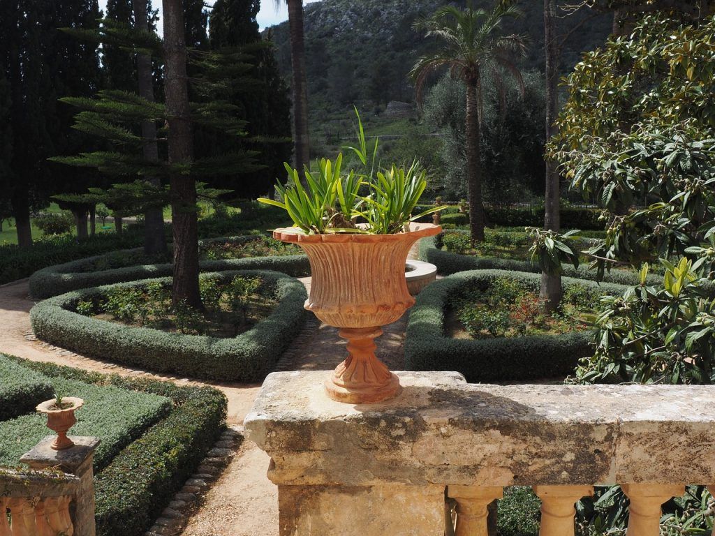 Garden of finca raixa