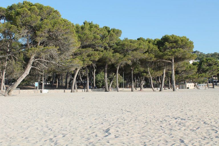 Santa Ponsa beach view